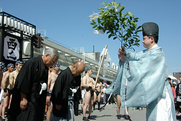 富山市山王まつり裸御輿の写真と紹介２００４